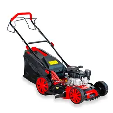 Masina de tuns gazonul Bisonte Agro Garden BTA-MTG450, 3.1 CP, 460 mm, 60 L