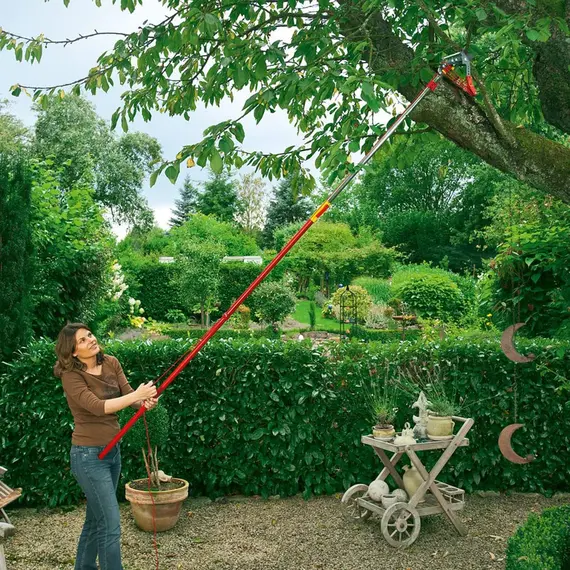 Coada telescopica WOLF-Garten VARIO ZM-V3, Lungime 170 - 300 cm (71CED012650)