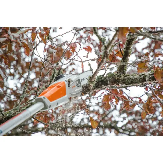 Set emondor STIHL HTA 50 cu acumulator AK 20 si incarcator AL 101