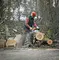 Motofierastrau STIHL MS 271, 3.5 CP, 45 cm, .325, 1.6 mm