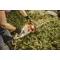 Masina de tuns gard viu electrica STIHL HSE 52