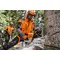 Motofierastrau STIHL MS 462, 6 CP, 50 cm, 3/8, 1.6 mm
