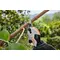 Set foarfeca STIHL ASA 20 cu acumulator AS 2 si incarcator AL 1