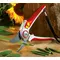 Foarfeca gradina WOLF-Garten RR 5000 Alu-professional (73AFA006650)