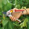 Foarfeca gradina WOLF-Garten RR 5000 Alu-professional (73AFA006650)