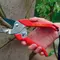 Foarfeca gradina WOLF-Garten RS 22 Anvil (7227002)