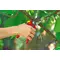 Foarfeca gradina WOLF-Garten RS 4000 Comfort Plus (73CFA005650)