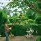 Coada telescopica WOLF-Garten VARIO ZM-V3, Lungime 170 - 300 cm (71CED012650)