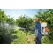 PACHET Atomizor STIHL SR 200 + Kit service 36 + Ulei amestec HP Ultra 1 L, 1.1 CP, Rezervor 10 L