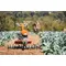 Motocultor pe benzina STIHL MH 700.1, 7 CP, Freze, Latime de lucru 53 - 121 cm